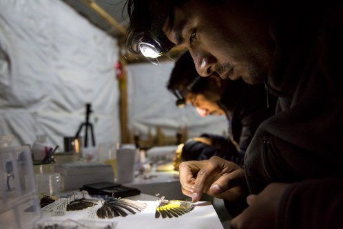 PeruExpedition 2018 Omar prep at night by Sam