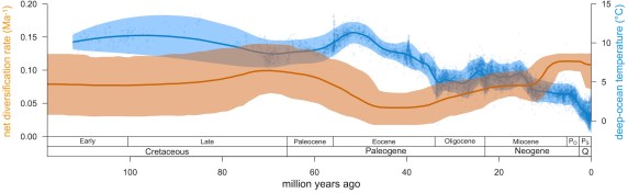 DiversificationThroughTime